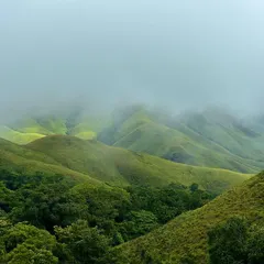 The rolling green hills of Kudremukha, covered in a blanket of mist. I lead treks through this national park, offering a chance to witness one of Karnataka's most iconic landscapes.