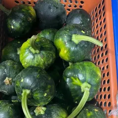 Small, dark green pumpkins, a common vegetable in Naga cuisine. They have a sweet, nutty flavor and are excellent in both savory stews and sweet dishes.
