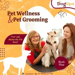 Your pet deserves the best. I offer professional pet wellness and grooming services to ensure your furry friend is happy, healthy, and pampered.