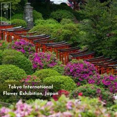 The Tokyo International Flower Exhibition in Japan is a source of endless inspiration. The way the vibrant azaleas are integrated with the traditional torii gates is a masterclass in cultural and landscape design.