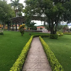 A winding stone path bordered by neatly trimmed hedges leads through a sprawling lawn to a covered patio, showcasing our work in creating relaxing garden journeys.