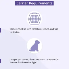 For air travel, carriers must be IATA-compliant, secure, and well-ventilated. American Airlines requires one pet per carrier, which must stay under the seat for the entire flight.