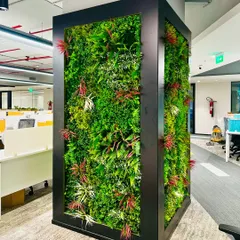 Another angle of the striking vertical garden at the Global India office. The black frame provides a sharp contrast to the lush, multi-colored foliage, turning a structural pillar into a design centerpiece.