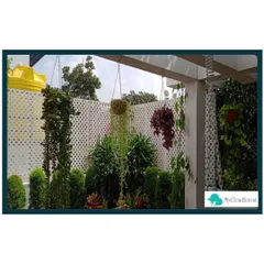 In this design, I used a combination of elements to create privacy and beauty. A white lattice screen provides a structural backdrop for climbing plants and hanging baskets, while lush greenery fills the space from the ground up. This approach creates a layered, dynamic, and secluded garden feel.