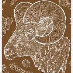 A detailed illustration of the majestic Bannur Ram, surrounded by the key spices that form the foundation of Old Bangalore Naati style dishes.