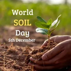 On World Soil Day, we celebrate the foundation of all life. Healthy soil is key to growing healthy food, and protecting it is essential for our planet's future.