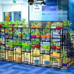 This is an example of a biophilic design I completed for a corporate client. The multi-tiered planter installation acts as a natural divider, introducing vibrant color and a variety of plant life to improve air quality and create a more dynamic workspace.
