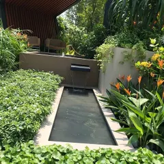 A close-up of the water feature in our modern garden project. The gentle sound of the waterfall adds a layer of tranquility, while the surrounding ground cover and Bird of Paradise plants provide a lush, tropical feel.