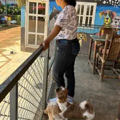A guest and her two Shih Tzus look out over the park from the cafe balcony during a birthday outing.