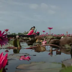 A low-angle shot from a boat on a Kerala lake, surrounded by a sea of pink lotus flowers. This pre-wedding photo creates a dreamy, immersive experience in nature's beauty.