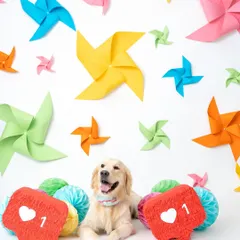 This shot was all about celebrating the "likes" and love we get from our furry friends. This sweet Golden Retriever is surrounded by social media-themed props as part of our vibrant campaign for Heads Up For Tails.