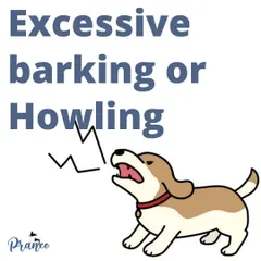 While some barking is normal, excessive barking or howling is often a dog's way of communicating distress, boredom, or anxiety. We can work together to figure out the 'why' behind the noise.