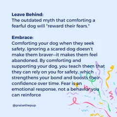 Let's leave behind the myth that comforting a fearful dog rewards fear. I embrace the fact that comforting a scared dog builds trust and security. Fear is an emotion, not a behavior you can reinforce.