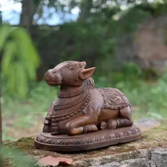 A 13.5-inch sculpture of Lord Nandi, the sacred bull and vahana of Lord Shiva. The wax brown finish highlights the gentle strength and detailed ornamentation of this revered figure.