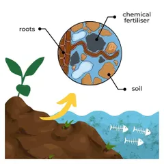 This illustration shows the harmful effects of chemical fertilizers. They can harden the soil, pollute waterways, and harm aquatic life. This is why we advocate for a shift to safer, organic alternatives.