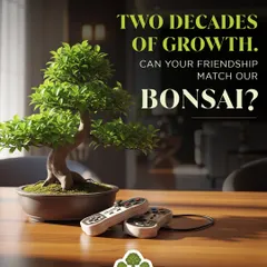 This bonsai has been growing for two decades, a symbol of consistent growth and care. We offer these as gifts that reflect the beauty of a long and nurtured friendship.