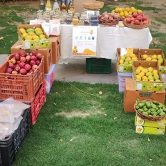 Our fruit stall is a seasonal delight. Here you can see crates overflowing with fresh apples and mangoes, all sourced directly from farmers. We ensure that even the fruits that aren't grown locally come from trusted, organic sources.
