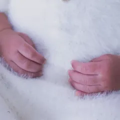 A close-up shot of a newborn's tiny hands resting on their chest, highlighting the delicate fingers and soft texture of their outfit.