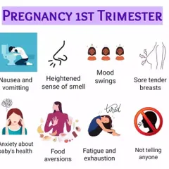 The first trimester is a time of rapid change, often accompanied by nausea, fatigue, mood swings, and food aversions. I help you manage these early symptoms with Ayurvedic practices to ensure a positive start to your pregnancy.