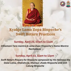 We organized special prayer sessions for the swift return of our precious Guru, Kyabje Lama Zopa Rinpoche, including Cittamani Tara mantra recitations and the chanting of his name mantra.