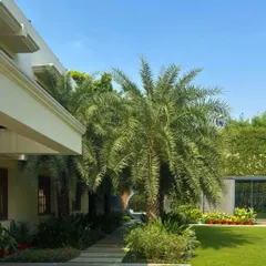 A sun-drenched pathway at a Kanpur residence, flanked by majestic palm trees and a manicured lawn. Our planting schemes are carefully considered to create avenues and vistas that guide the eye and enhance the sense of space.