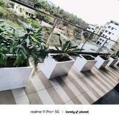 A modern balcony featuring a row of elegant white FRP planters. We provided custom black stands that complement the planters and the striped flooring, creating a chic, minimalist look.