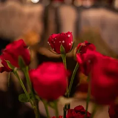 In a crowd of roses, be the one with pearls. We added this tiny, unexpected detail to a single red rose, creating a delightful and unique surprise within the floral arrangements.