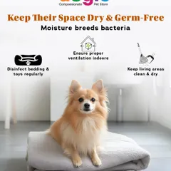 Keep their space dry and germ-free, as moisture breeds bacteria. Ensure proper ventilation, disinfect bedding and toys regularly, and use pet-safe floor cleaners to maintain a healthy environment.