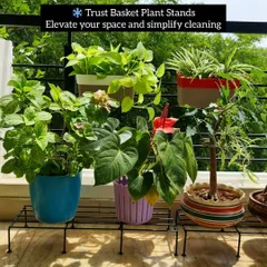 Using plant stands like these from Trust Basket is a simple trick to make your balcony look organized and simplify cleaning. Elevating the pots off the floor improves air circulation and prevents water stains, keeping both your plants and your space happy.