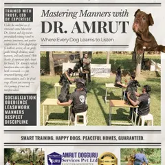 This is my philosophy in one picture: Train with Trust, Led by Expertise. My program is not about harsh commands; it's a journey of socialization, obedience, leash manners, respect, and discipline. We build a foundation for a peaceful home.