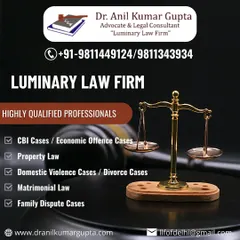 Luminary Law Firm is staffed by highly qualified professionals with expertise in key areas of law. This image lists our primary practice areas, including CBI cases, property law, domestic violence, and matrimonial law.