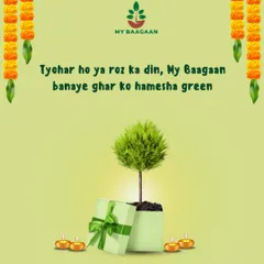 My motto is simple: whether it's a festival or just another day, My Baagaan keeps your home green. This festive season, choose a sustainable gift that grows.
