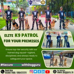 Our elite K9 patrol team stands ready for deployment. Each handler and their canine partner forms a disciplined unit, providing a visible and effective security presence for any premises.