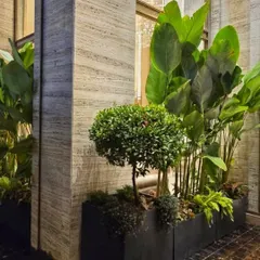 A look at our premium plantscaping for a building exterior. We used a combination of tall, broad-leafed plants and sculpted topiary to create a sophisticated and welcoming entrance that complements the modern architecture.