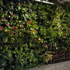 A closer look at the texture and variety in a vertical garden. I use over 100 different types of plants, like the red-flowering varieties seen here, to create patterns and depth.