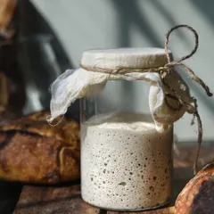 A shot of a lively sourdough starter, bubbling and active in a glass jar. The backlighting beautifully highlights its texture and life.