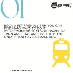 The first step in planning is choosing the right mode of transport. For longer journeys, trains and boats can be less stressful for pets. I recommend air travel primarily for smaller dogs when necessary.