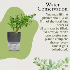 These planters also help with water conservation. You only need to fill the reservoir about half or three-quarters full, so you don't have to give your plant a complete shower every time it gets thirsty.
