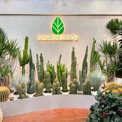 Welcome to my design studio, where the desert meets modern design. This custom cactus and succulent installation showcases how I use architectural plants and clean lines to create a stunning, low-maintenance focal point.