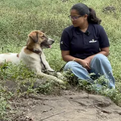Training starts with connection, not commands. In this quiet moment in the grass, it's not about teaching tricks, but about building a relationship. When a dog feels heard and understood, learning follows naturally.