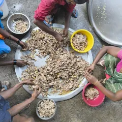 Many hands make light work. Our dedicated team meticulously prepares tons of food daily, ensuring every meal is packed with nutrition, including deboned chicken for our dogs.