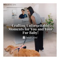 We are dedicated to crafting unforgettable moments for you and your fur baby. Our mission-driven brand is committed to elevating pet care standards in India through a focus on holistic wellness and comprehensive services.