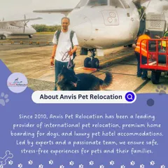 Since 2010, Anvis has been a leader in international pet relocation and premium dog boarding. Our expert team ensures a safe, stress-free experience for pets and their families.