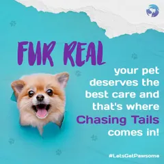 Fur real, your pet deserves the best, and that's what I strive to provide. My services are built around giving your companion the highest quality care in a loving and professional environment.