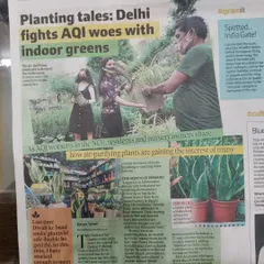 We were featured in the Hindustan Times for our expertise in using indoor plants to combat Delhi's air quality issues. This recognition highlights our commitment to providing green solutions that make a real difference in homes and offices.