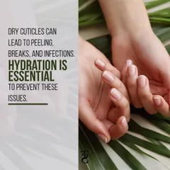 Healthy nails start with healthy cuticles. This graphic explains the importance of keeping your cuticles hydrated to prevent peeling and breaks, a key part of my manicure and pedicure philosophy.
