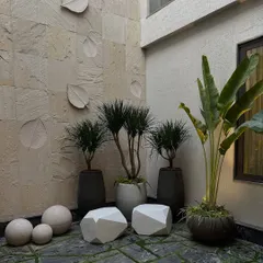 A minimalist courtyard in Faridabad. The design features a textured stone wall with leaf carvings, sculptural geometric seating, and carefully selected plants in modern pots, creating a serene and artistic corner.