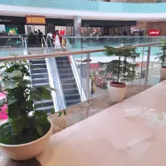 Plantscaping inside a shopping mall, where we've placed large, modern planters along the railings. Using plants like money plants and Norfolk pines helps to soften the architecture and improve indoor air quality.