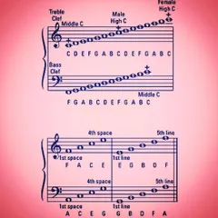 An essential chart for any piano student, this image explains the Grand Staff, including the Treble and Bass clefs. Understanding how to read sheet music is a fundamental skill that we emphasize in our curriculum.