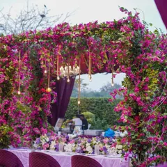 A romantic outdoor dining setup for an engagement. A massive arch of bougainvillea and other flowers frames the head table, which is draped in purple velvet and surrounded by elegant seating.